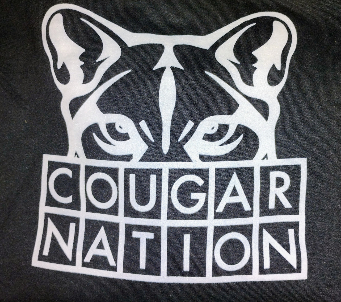 23-24 Cougar Nation Hoodie