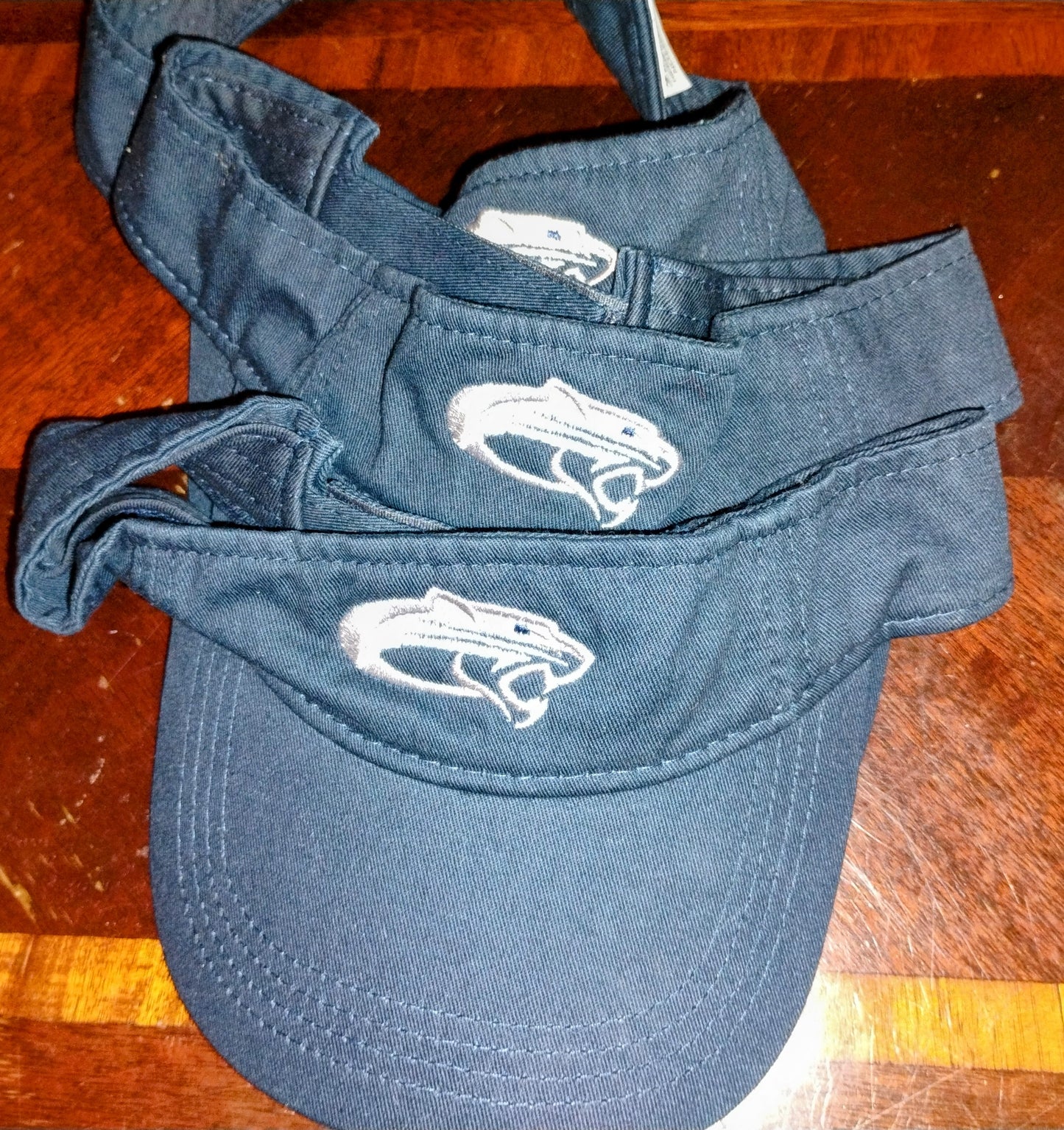 Cougar Visor